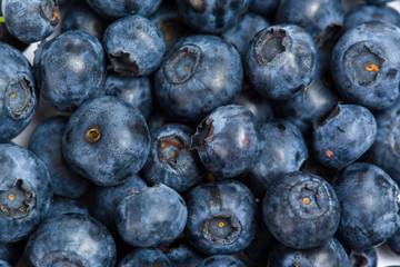 Close up of heap of bilberry