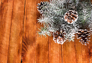 Christmas fir tree with snow, with cones on wooden background