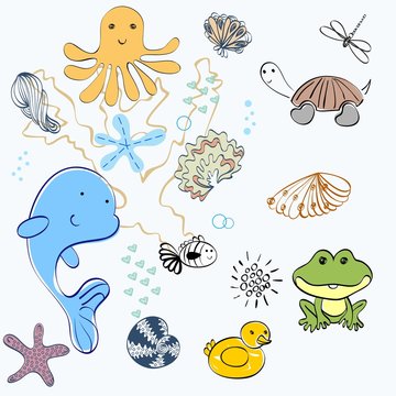set of marine animals and shells .