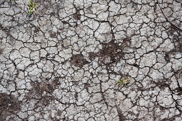 Dry land