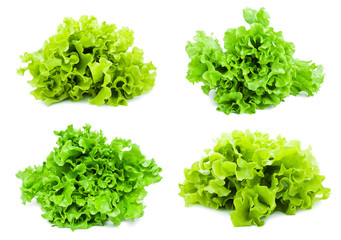 Lettuce