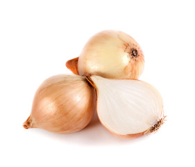 fresh onion