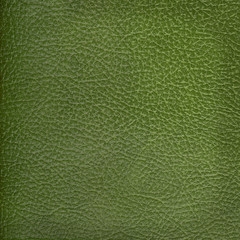 green leather texture closeup