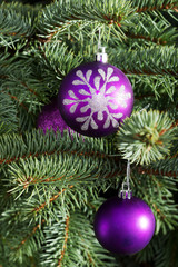 Obraz na płótnie Canvas Christmas balls handing on a tree.