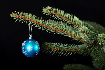 One christmas ball handing on a twig.