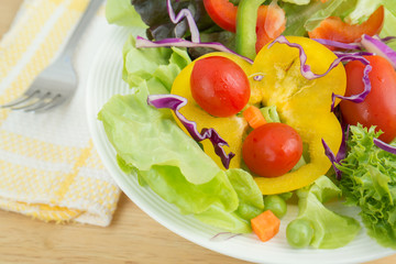 Fresh vegetable salad