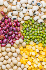 Fototapeta na wymiar Variety of Beans and Lentils
