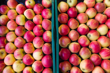 Red apples.