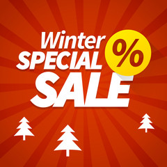 winter special sale poster