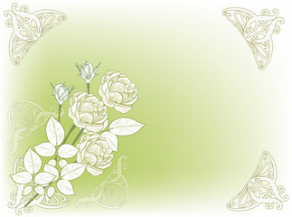 light roses sketches on green background