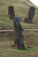 Moais auf der Osterinsel