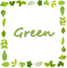 Frame of green leaves isolated on white
