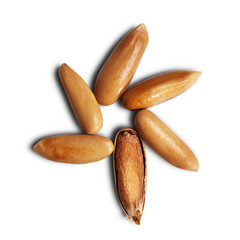 Obraz premium Pine nuts