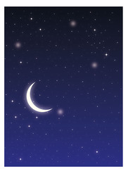 Obraz na płótnie Canvas Starry night with moon