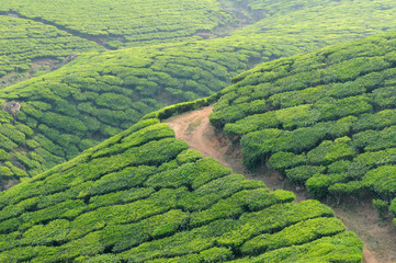 India, Kerala © Rafal Cichawa
