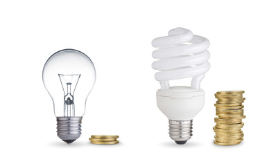 Money saved in different kinds of light bulbs. Isolated on white