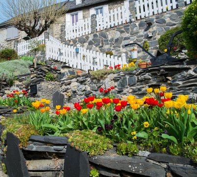 Beautiful tulip garden near rural house in Galey village, France