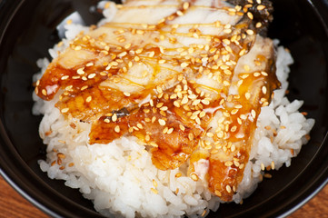 eel with rice