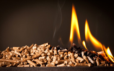 wood pellet flame fire burn alternative energy