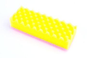 Sponge