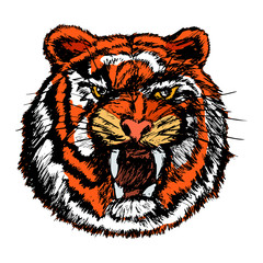 tiger