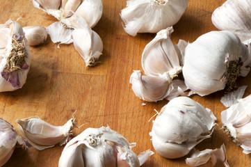 Garlic