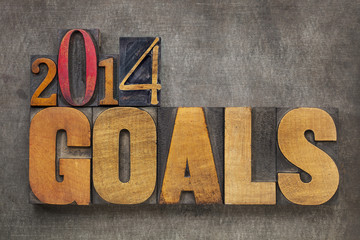 2014 goals in wood type
