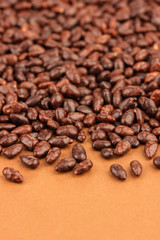 Sunflower grains in chocolate, on brown background