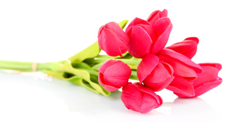 Bouquet of beautiful artificial flowers, isolated on white