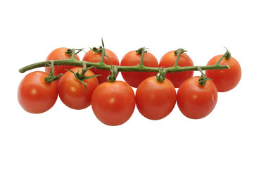 Branch of cherry tomatoes