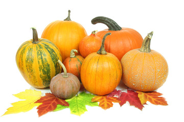 Pumpkins isolated