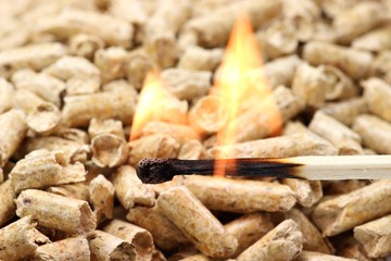 Streichholz vor Holzpellets