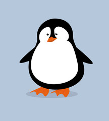 arctic design