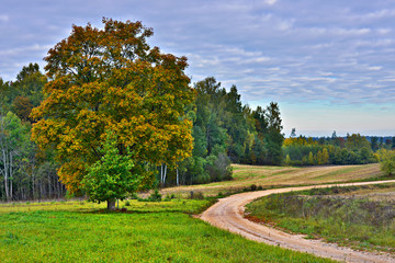 Fototapeta na wymiar Countryside road in autumn, Vidzeme, Latvia