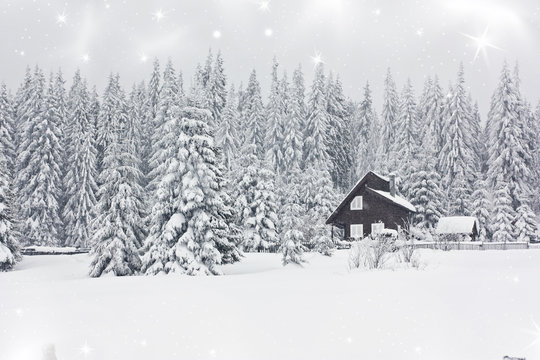 Fototapeta House in the mountains