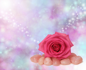 Rose quartz & pink rose on soft focus background