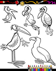 Cartoon Birds for Coloring Book