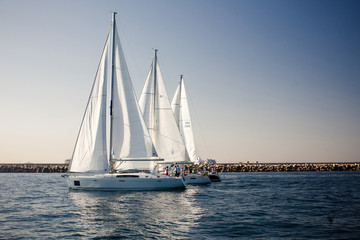 Naklejka na ściany i meble Sailing ship yachts with white sails