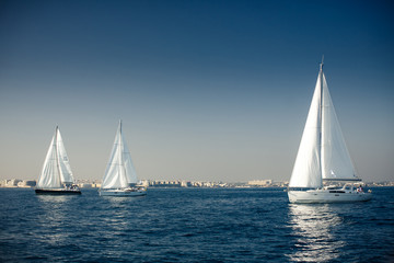 Obraz na płótnie Canvas Sailing ship yachts with white sails