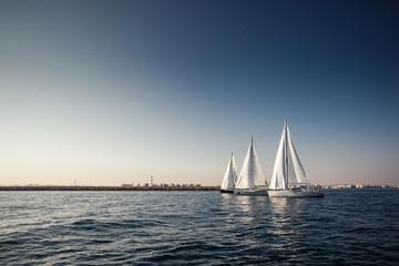Sailing ship yachts with white sails