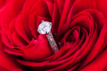 Diamond engagement ring in the heart of a red rose