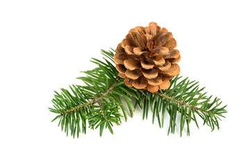 christmas pine cones