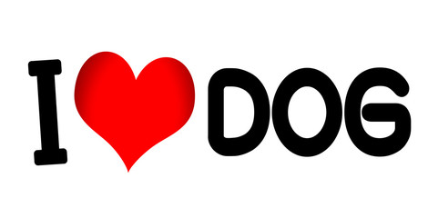 i love dog