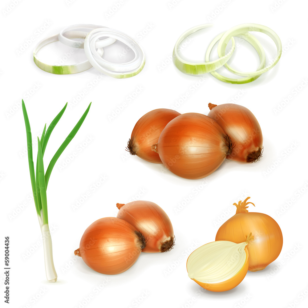 Wall mural Onion set, vector illustration