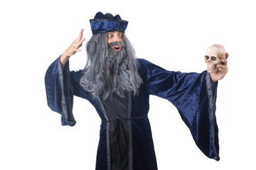 Wizard isolated on the wise background