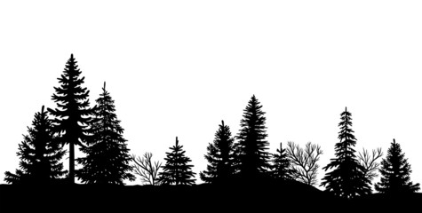 Schwarze Silhouette eines Waldes, Vektor und freigestellt