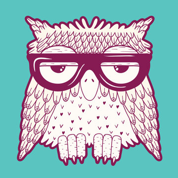 Fototapeta Owl in glasses