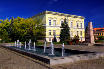 The market town hall and in Nowy Tomysl, Poland - obrazy, fototapety, plakaty