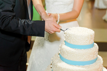 bride and groom cutting elegant cake