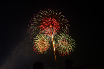 Colorful fireworks on the black sky background